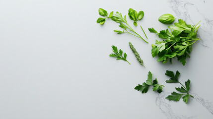 Fototapeta premium Fresh Herbs Arranged on a Grey Marble Surface With Soft Holographic Highlights for a Modern Kitchen Setting