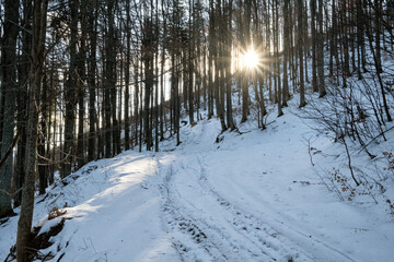 Big Fatra mountains, Slovakia, snowy landscape