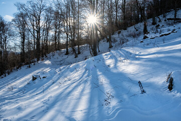 Big Fatra mountains, Slovakia, snowy landscape