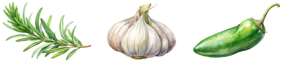 Fresh herbs illustration, watercolor style, garlic bulb, jalapeno pepper, culinary ingredients, vibrant colors.