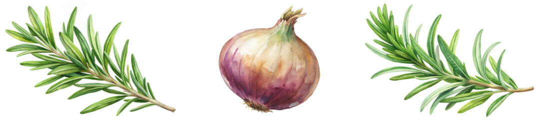 Fototapeta premium Fresh rosemary sprigs, vibrant onion illustration, botanical art style, culinary use, natural ingredients, food decoration.