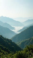 Naklejka premium Morning fog rolling over hills and valleys in a light grey cloudy sky, natural scenery, landscape