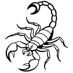 Emperor Scorpion on white background