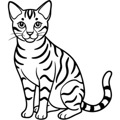 Bengal Cat on white background