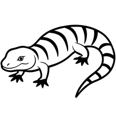 lizard on white background