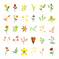 Obraz premium Hand Drawn Autumn Leaves Collection Set