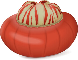 Turban Squash or French Turban squash. Winter squash. Cucurbita maxima. Fruits and vegetables. Isolated vector illustration.