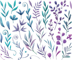 Watercolor hand painted Floral elements set. Flowers, violet, purple, pink. Illustration isolated on white background. Use it for postcards, invitations, and scrapbooking.