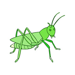 grasshopper vector icon, spring vector illustration - simple illustration of grasshopper perfect for logos, and spring -themed designs.
