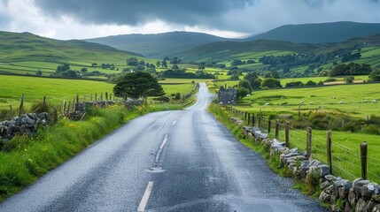 Fototapeta premium A serene country road winding through lush green fields under a cloudy sky.