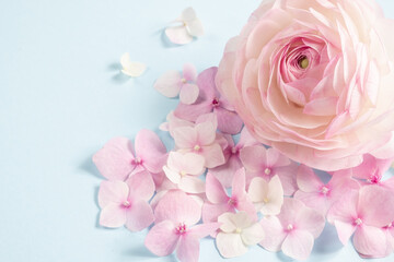 Obraz premium Soft pink and white flowers arranged on a light blue background. Perfect for romantic, wedding, or feminine themes.