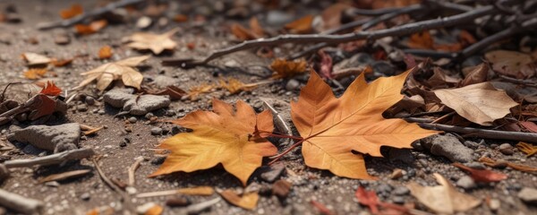 A fallen autumn leaf lying on dry earth amidst a carpet of withered twigs and fallen leaves, landscape photography, seasonal change , forest floor