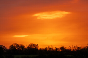 A dramatic orange sunset over the British countryside with silhouetted trees on the horizon. The vibrant golden sky creates a stunning rural landscape in the United Kingdom at dusk.