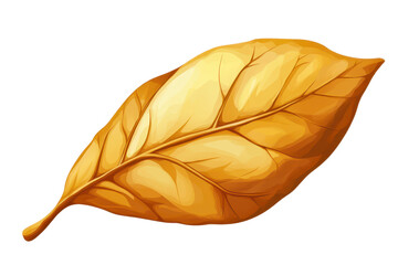 Golden brown leaf, white background, isolated on the edges isolated on transparent png or white background