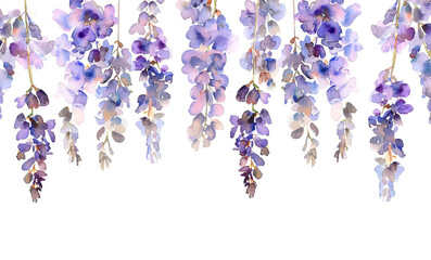 Lavender flowers painted in watercolor style on white background
