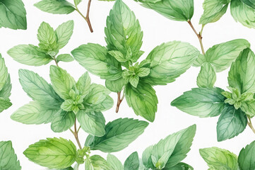 Watercolor pattern of green mint leaves on a white background