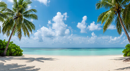  A serene tropical beach featuring swaying palm trees under a clear blue sky, inviting relaxation and tranquility.