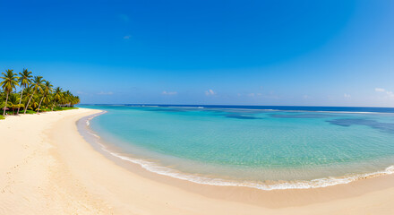 Obraz premium A picturesque, vacant tropical beach with the ocean glistening under a vibrant blue sky