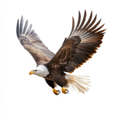 Obraz premium Soaring eagle mid flight with detailed feathers and dynamic wings