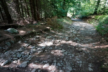 Footpath in Owl Mountains, Poland