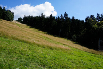 Meadow in Owl Mountains, Poland
