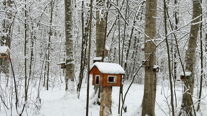 There are many bird feeders in the snowy forest.
