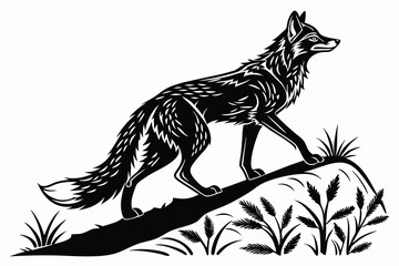 Wolf black and white