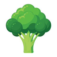 green broccoli isolated on white