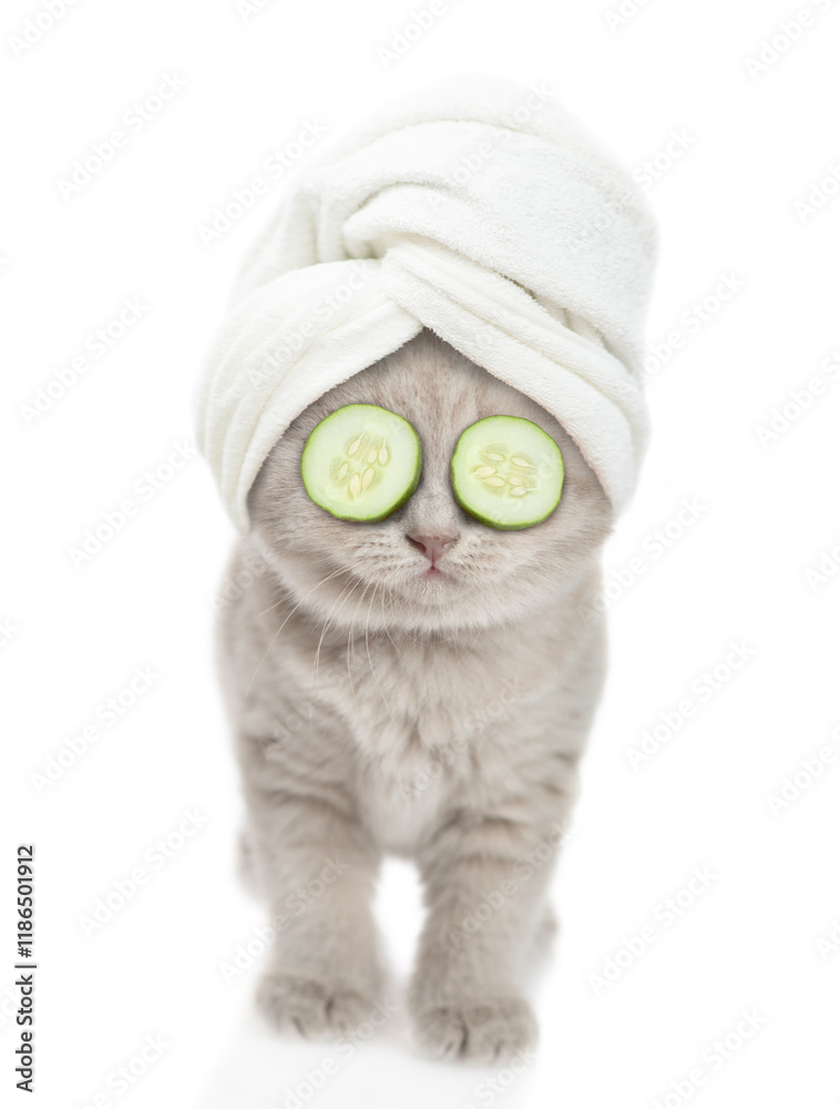 Poster Funny kitten with slices of cucumber on it eyes and with towel on it head stands in front view. isolated on white background