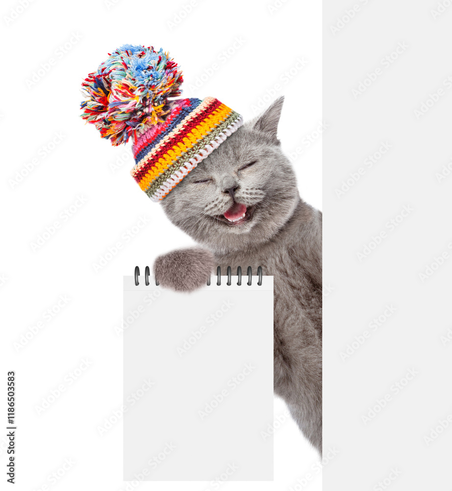 Aufkleber happy cat wearing warm winter knitted woolen hat with pompon looks from behind empty white banner an