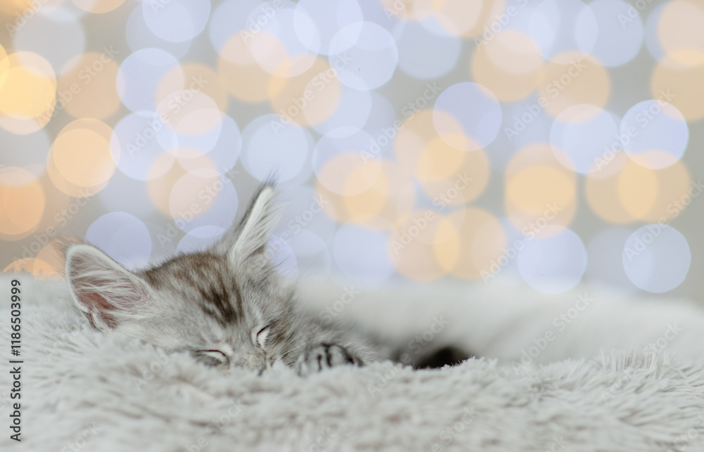 Aufkleber tiny maine coon kitten sleeps on a bed at home on festive pink blurred background. empty space for t