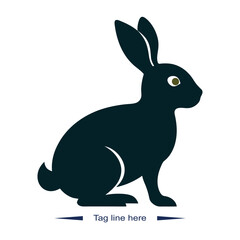rabbit illustration