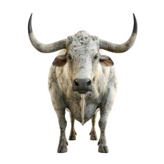 Naklejka premium Photorealistic Image of a Majestic Bull Isolated on a Clean transparent background. Needs