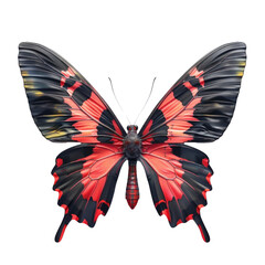 Detailed Photorealistic Butterfly on Clean transparent background for High-Quality Visual Projects