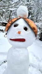 gender snow object in the winter garden