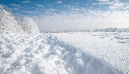 Snowy winter landscape showcasing the tranquility of nature in a firefly winter setting