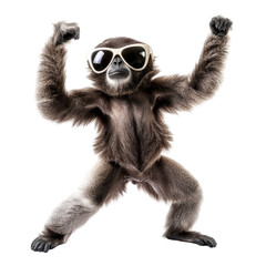 Fototapeta premium Funny Gibbon Dancing in Large Sunglasses for a Playful and Entertaining Image