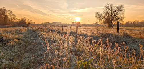 Early morning frost blanckets on agricultural pastures in France. Idillic morning panorama in Europe © Alena AV