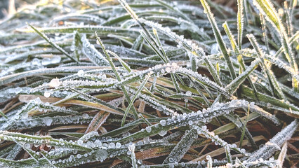 Early morning rime on the grass, closeup of frosty field