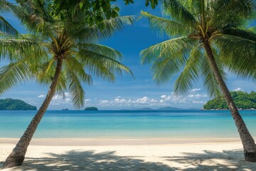 Fototapeta premium Palm trees on the beach on sea and shore or ocean with green leaves looking up toward blue sky for summer tropical resort hotel vacation, travel holiday relaxation time, or Palm Sunday background 