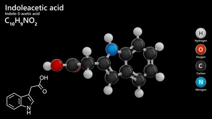 Molecule: Indoleacetic Acid or IAA. Plant hormone. Molecular structure. Formula: C10H9NO2. Chemical model: Ball and stick. Black background. 3D illustration.