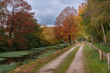 Autumn Colors Quiet Canal with trees and bridge in Drenthe, Netherlands