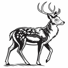 Elegant Deer Illustration in Vector Art