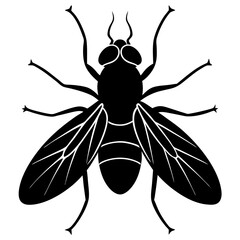 High-Quality Fly Vector Design