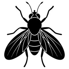High-Quality Fly Vector Design