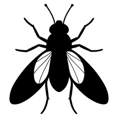High-Quality Fly Vector Design