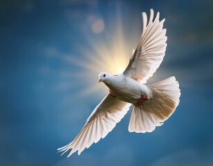 Obraz premium white dove in flight