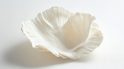 Elegant white seashell on a clean backdrop showcasing intricate textures and natural beauty perfect for coastal decor and marine themes