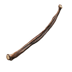 Obraz premium Isolated Vanilla Bean on Clean transparent background for Culinary and Photographic Use, Perfect for Recipes