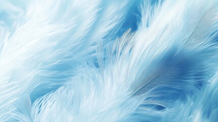 Obraz premium Soft and Delicate Blue Feathers Creating a Serene Background Texture for Creative Projects